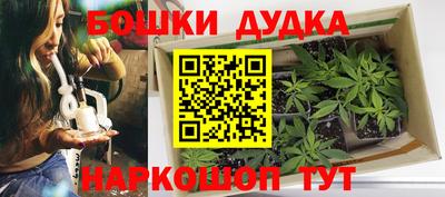 крисы Брянск