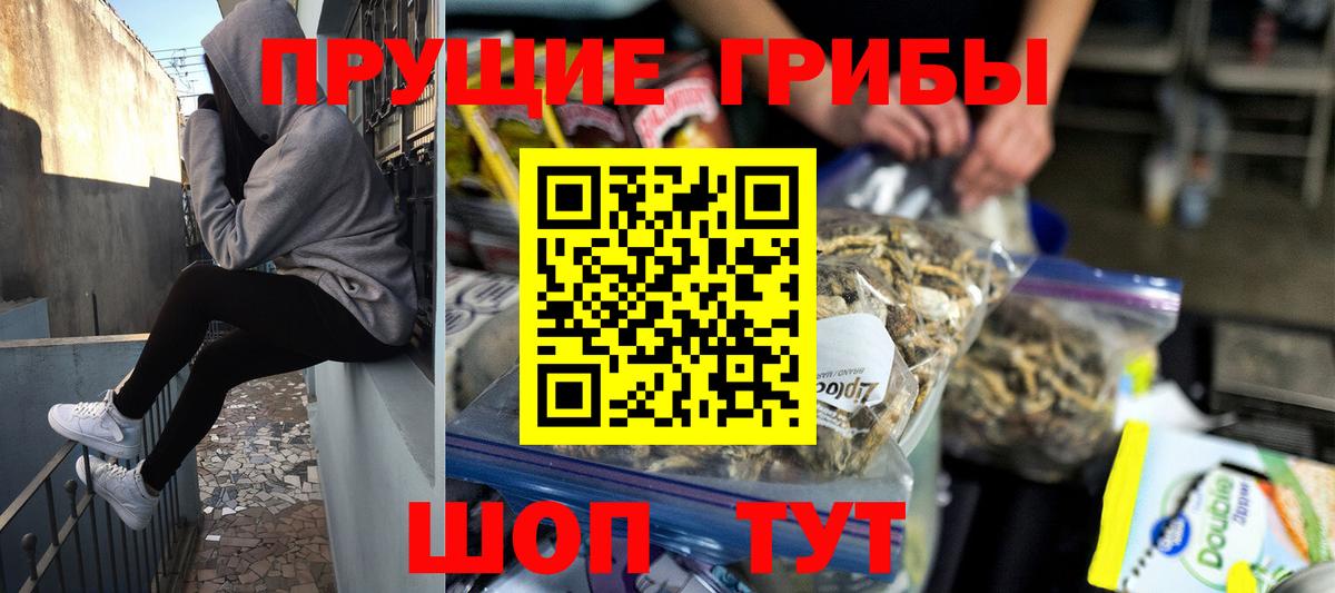 Бахчисарай  Галлюциногенные грибы ЛСД  Вход с VPN 